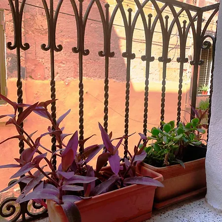 Traditional Maltese Townhouse Very Close To Mdina *
